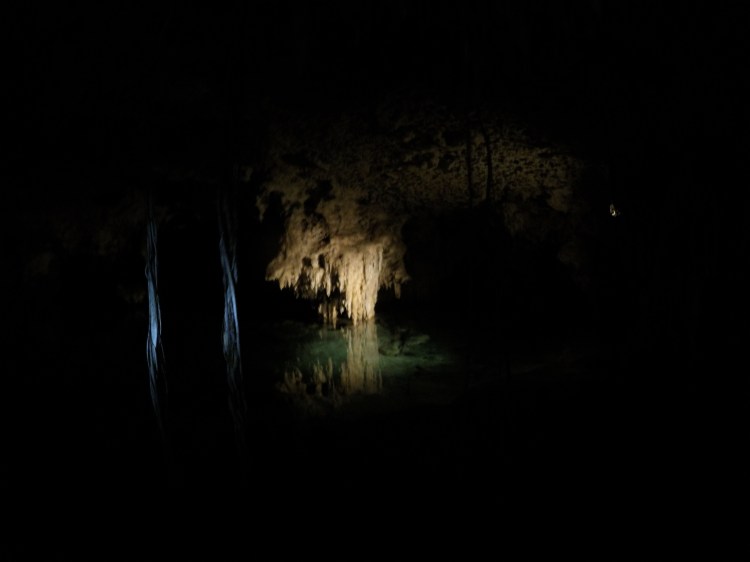 DCIM100GOPROGOPR2771.