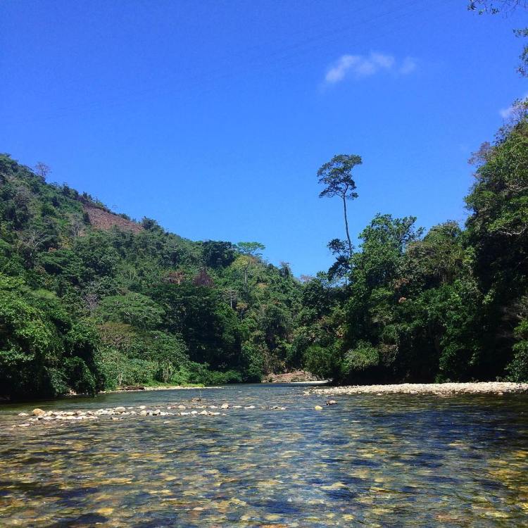 el rio rio